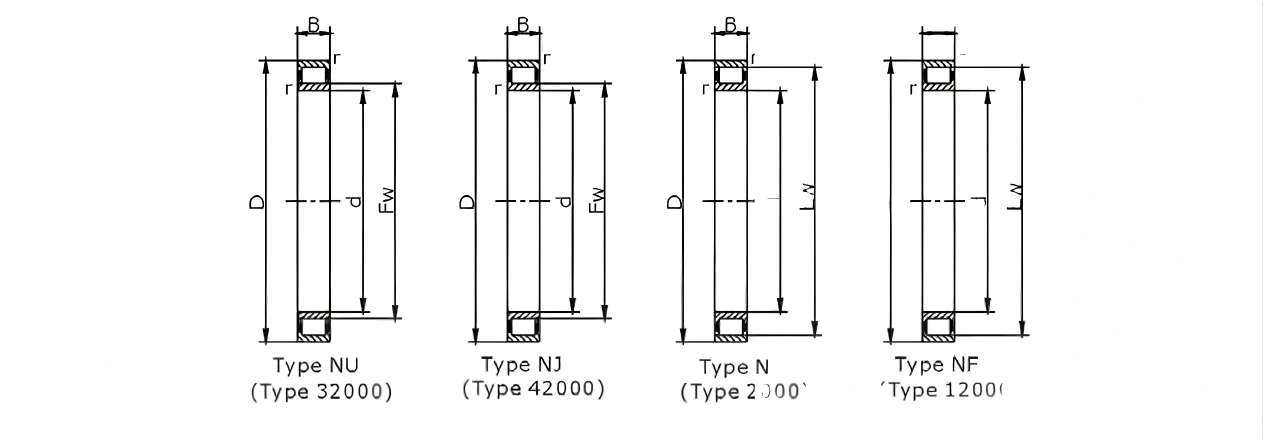 Double Row Cylindrical Roller Bearing