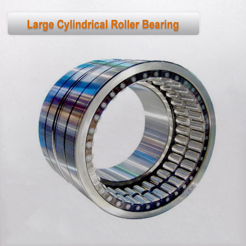 Large Cylindrical Roller Bearing