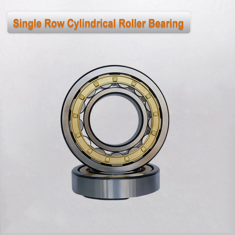 Single Row Cylindrical Roller Bearing