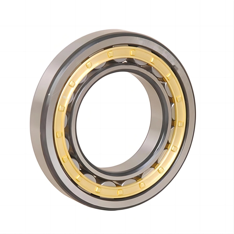 ROBUST Series Single Row Cylindrical Roller Bearing